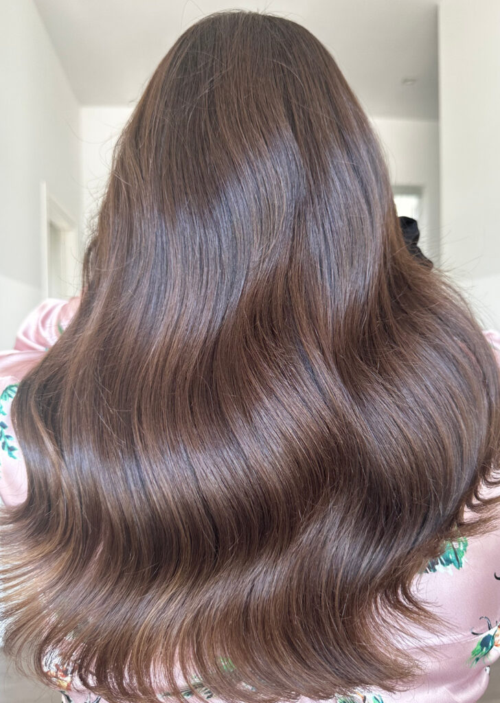 Glam Lab_brown_10