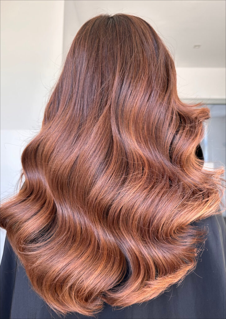 Glam Lab_brown_11