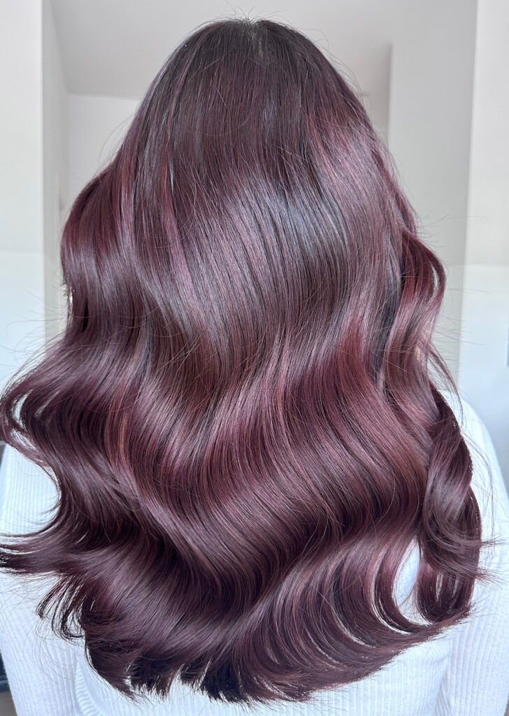 Glam Lab_brown_5